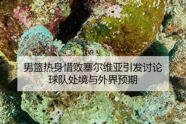 男篮热身惜败塞尔维亚引发讨论 球队处境与外界预期